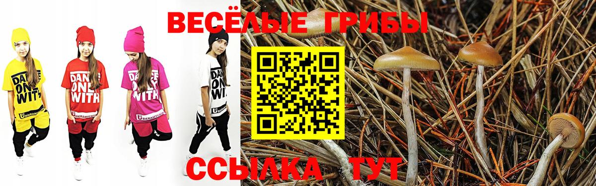 Галлюциногенные грибы Cubensis Десногорск