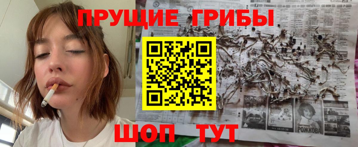 Псилоцибиновые грибы Psilocybine cubensis  Вход с VPN  Десногорск  Галлюциногенные грибы MAGIC MUSHROOMS 